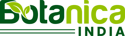 Botanica logo